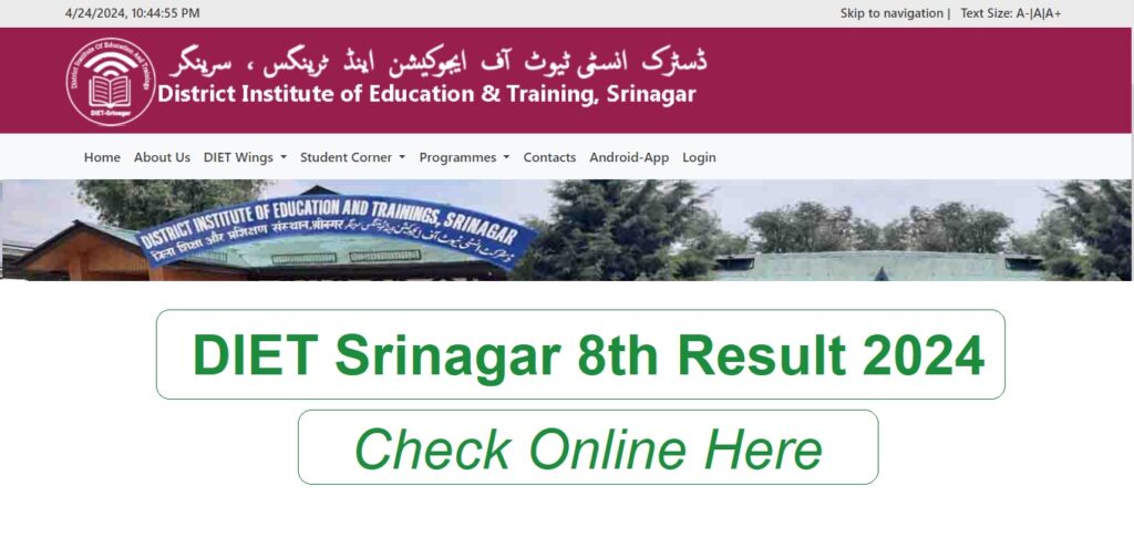 DIET Srinagar 8th Result 2024 PDF